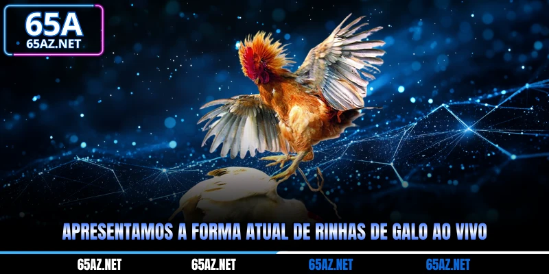 Apresentamos a forma atual de rinhas de galo ao vivo