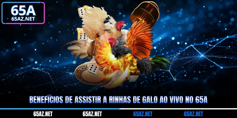Benefícios de assistir a rinhas de galo ao vivo no 65a