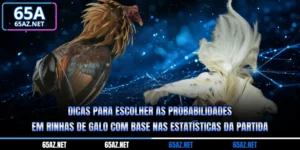 Dicas Para Escolher As Probabilidades Em Rinhas De Galo