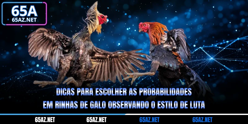 Dicas para escolher as probabilidades em rinhas de galo com base nas estatísticas da partida