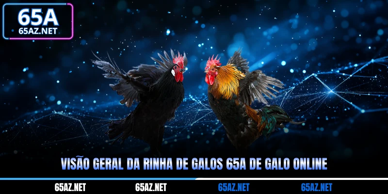 Visão geral da rinha de galos 65a de galo online